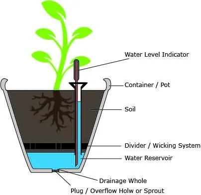Self watering pot infographic iGarden101